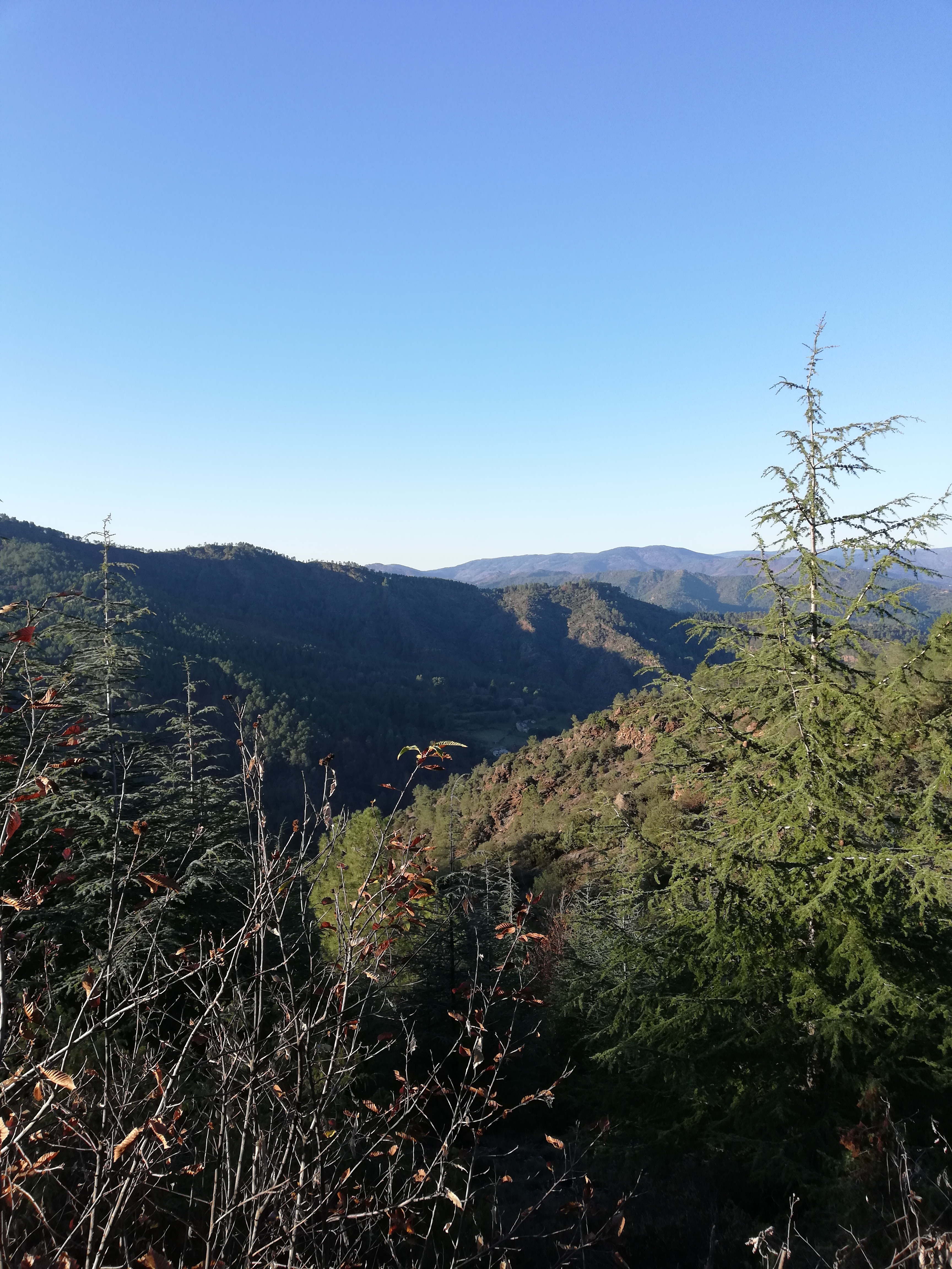 Photo n° 4 de l'avis de Tiphaine. fait le 30/11/2018 à 21:52