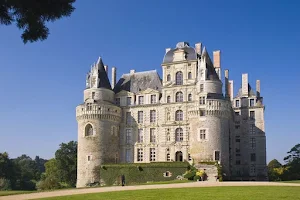 Château de Brissac image