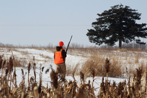 Sporting Goods Store «Highland Hideaway Hunting», reviews and photos, 3127 160th St, Riverside, IA 52327, USA