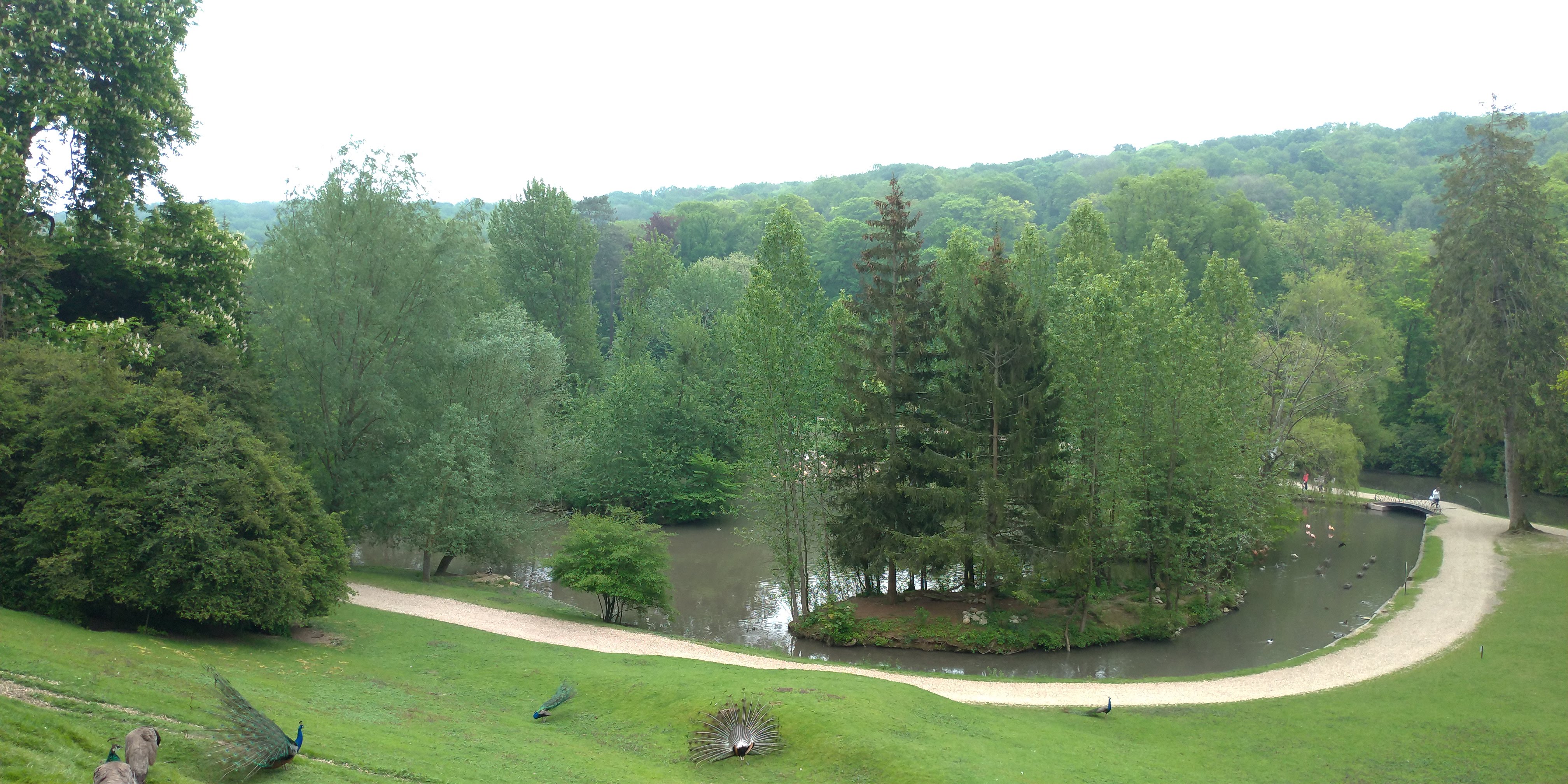 Photo n° 23 de l'avis de Maxime.E fait le 19/05/2019 à 20:15