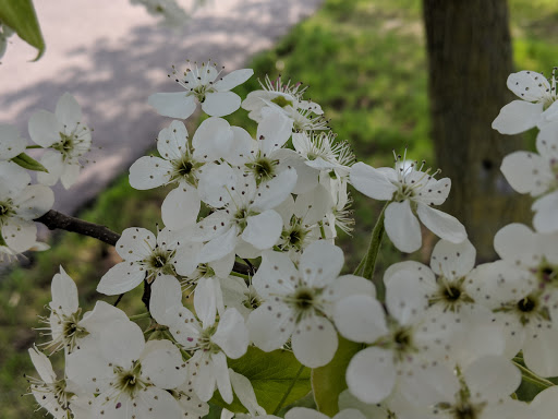 Car Dealer «Jim Causley Buick GMC Truck», reviews and photos, 38111 S Gratiot Ave, Charter Twp of Clinton, MI 48036, USA