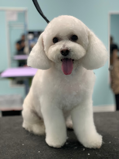 Happy Paws Dog Grooming
