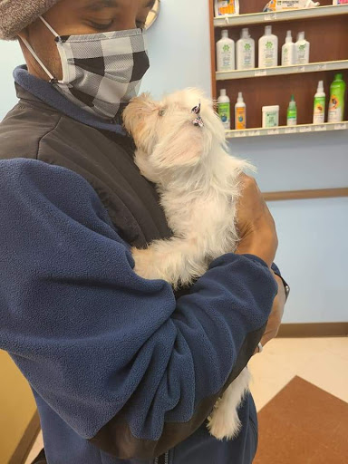 Pet Supply Store «PetSmart», reviews and photos, 3335 Cobb Pkwy NW #400, Acworth, GA 30101, USA