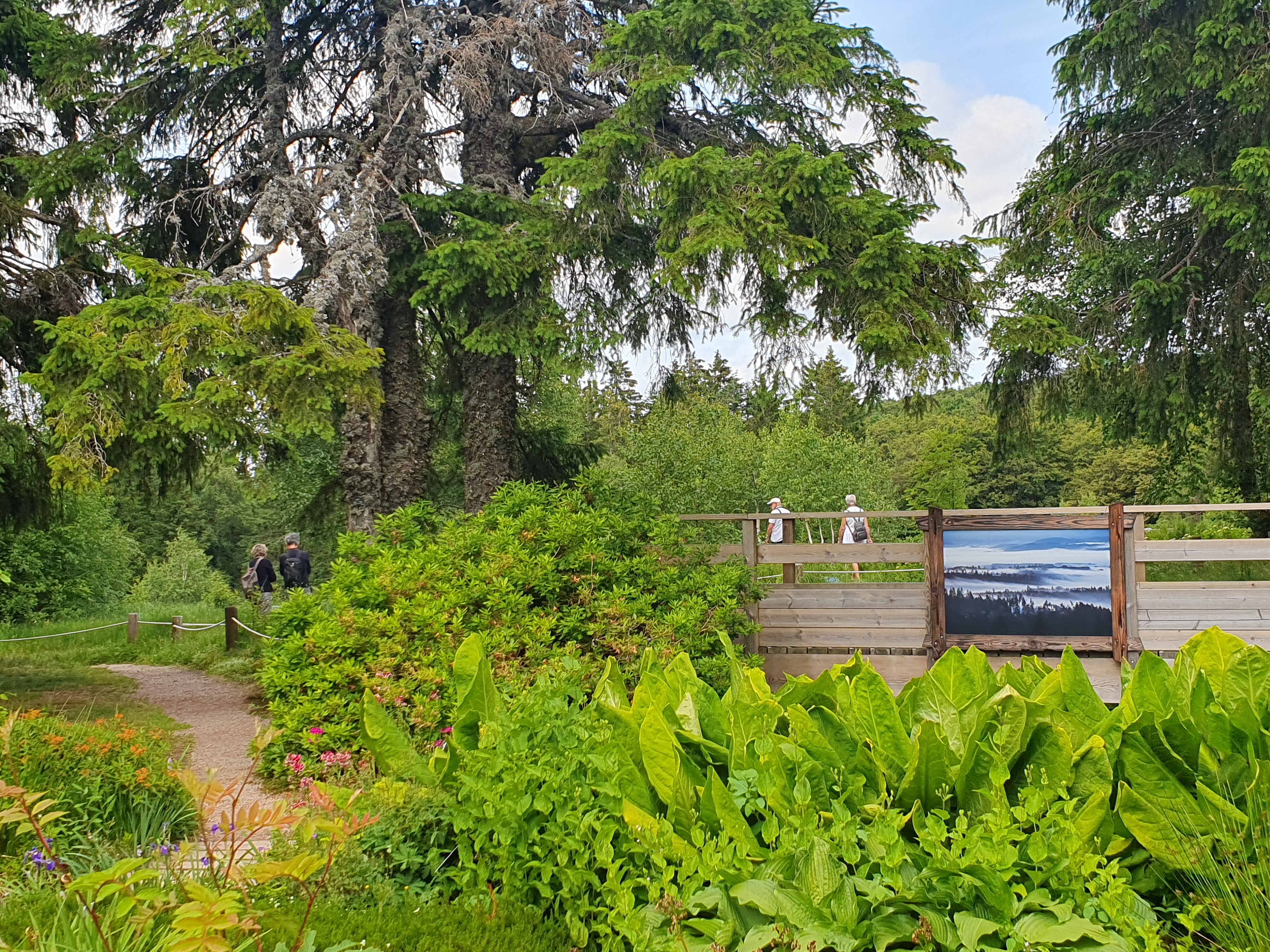 Photo n° 15 de l'avis de SYLVIE.A fait le 29/06/2023 à 20:48