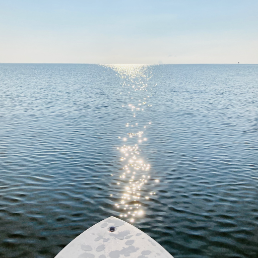 Sporting Goods Store «KAYAKS BY BO INC.», reviews and photos, 410 S Hopkins Ave, Titusville, FL 32796, USA