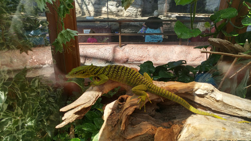 Aquarium «Newport Aquarium», reviews and photos, 1 Aquarium Way, Newport, KY 41071, USA