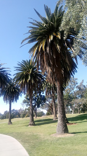 Public Golf Course «Chester Washington Golf Course», reviews and photos, 1818 Charlie Sifford Dr, Los Angeles, CA 90047, USA