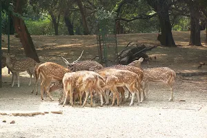 Sarnath Deer Park image