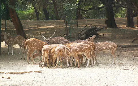 Sarnath Deer Park image