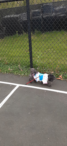 3310 Purvis Rd, Quantico, VA 22134, USA