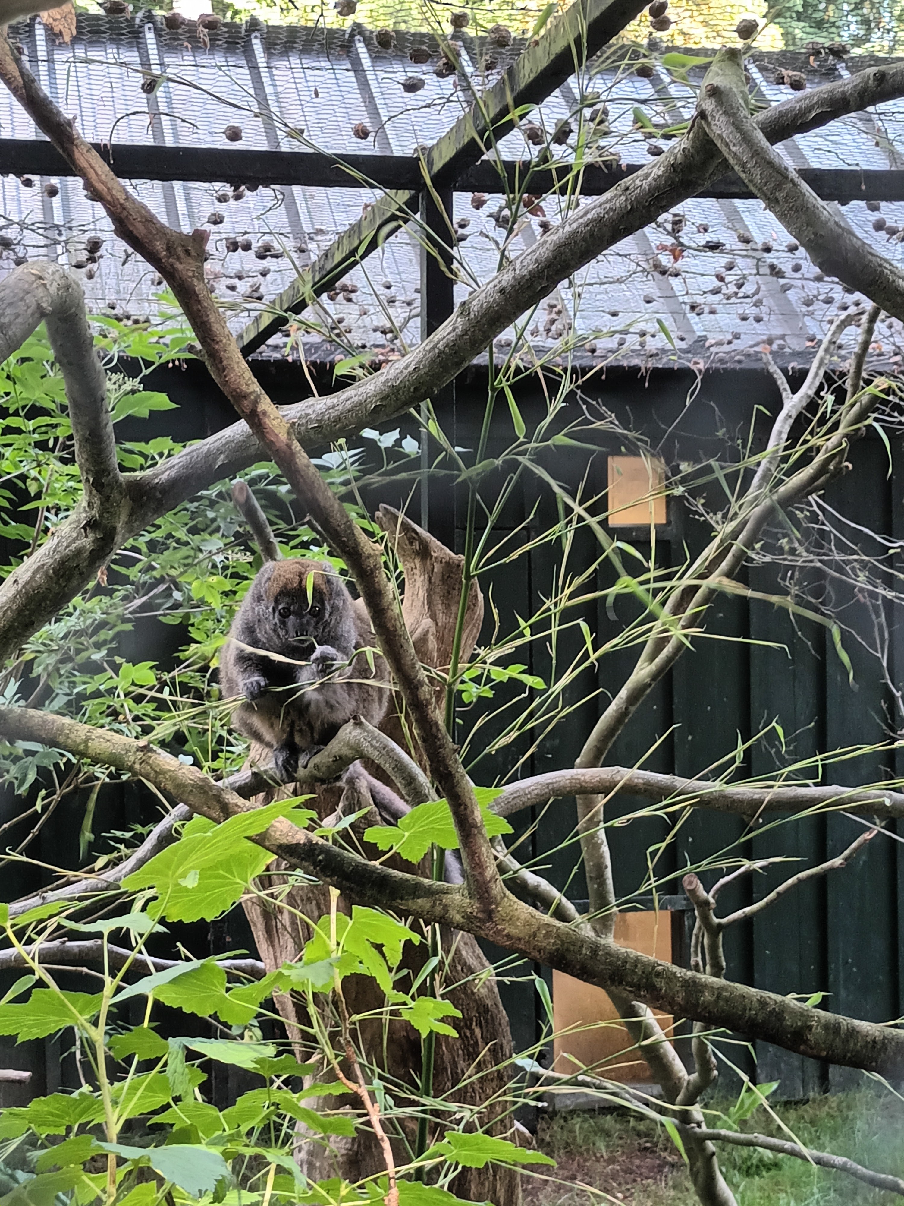 Photo n° 17 de l'avis de daniel.a fait le 28/06/2023 à 18:17