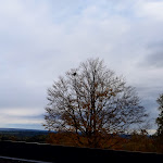 Photo n°4 de l'avis de Elisabetta.c fait le 20/11/2023 à 13:50 sur le  Hotel Schillingshof à Bad Kohlgrub