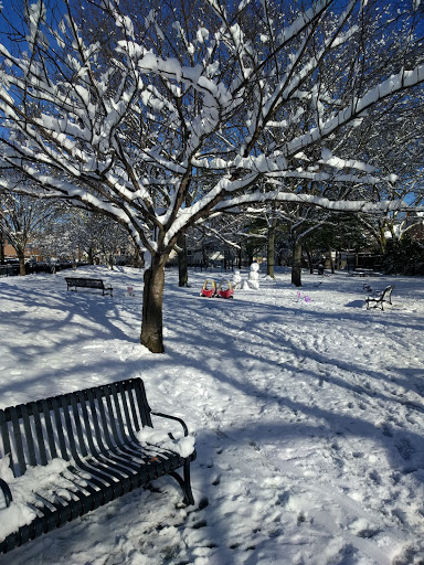 City Park «Gerald Bergin Park», reviews and photos, Haskell Street & Pemberton St, Cambridge, MA 02140, USA