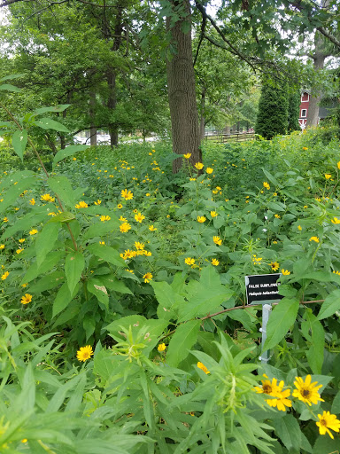 Zoo «Lords Park Zoo», reviews and photos, 325 Hiawatha Dr, Elgin, IL 60120, USA