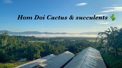 Hom Doi Cactus & Succulent