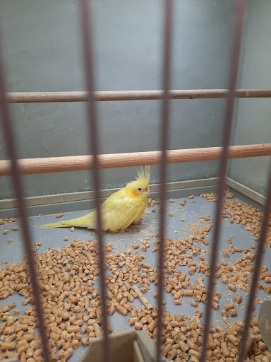 Pet Store «Fish Bowl», reviews and photos, 2117 E Race Ave, Searcy, AR 72143, USA