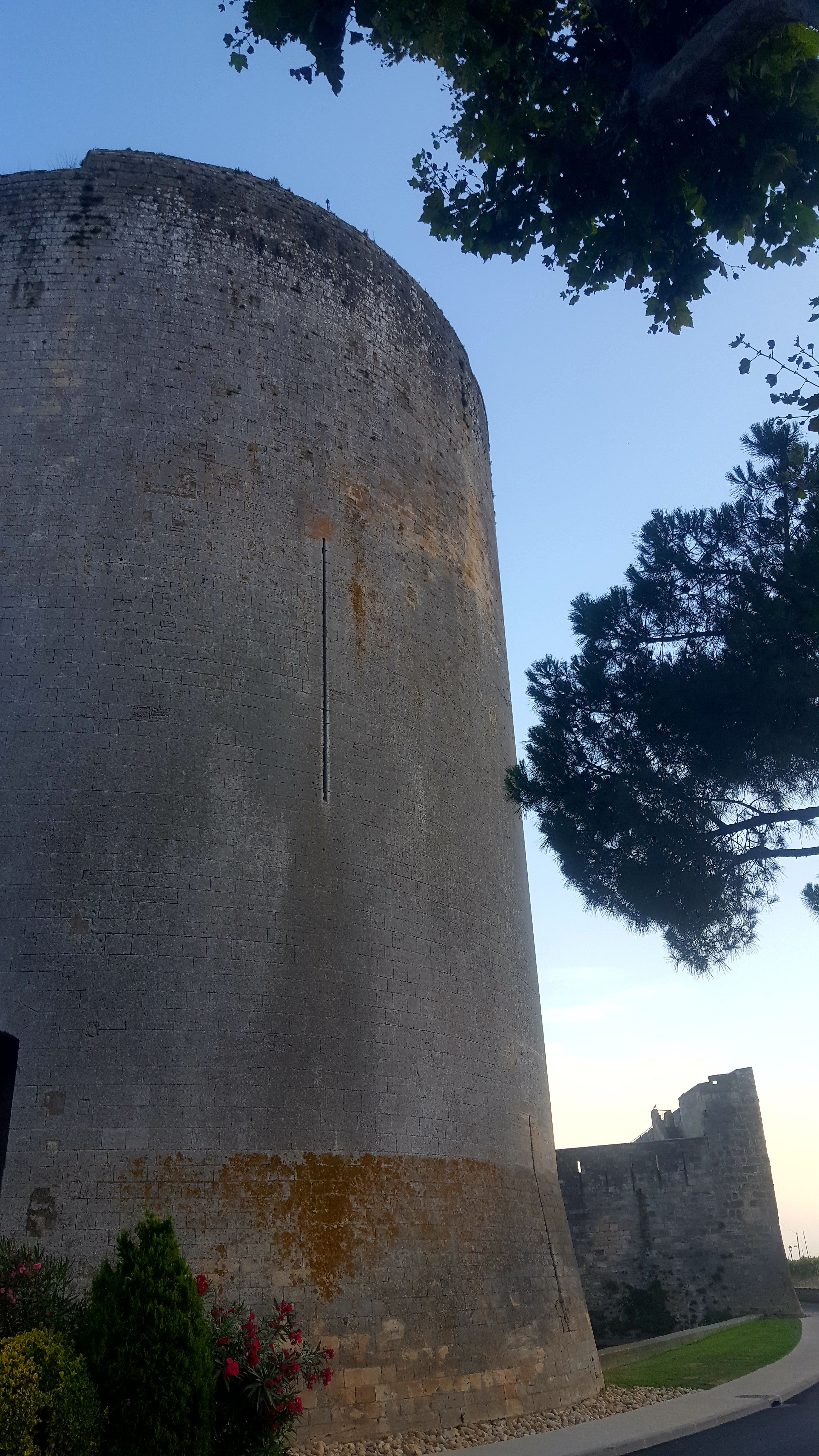 Photo n° 29 de l'avis de francine.i fait le 06/08/2018 à 13:16