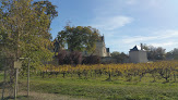 Château de Brézé Bellevigne-les-Châteaux