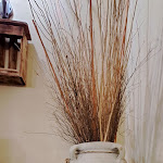 Photo n°5 de l'avis de Luca. fait le 01/04/2024 à 18:38 sur le  Miseria & Nobiltà à Castagneto Carducci