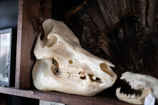 Explore simple western tattoo ideas, creative tattoo ideas in Buffalo, available at True Gloom Tattoo Studio