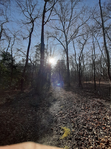Nature Preserve «Rancocas Nature Center», reviews and photos, 794 Rancocas Mt Holly Rd, Westampton, NJ 08060, USA