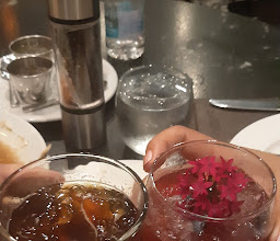 La Bikina Chihuahua photo