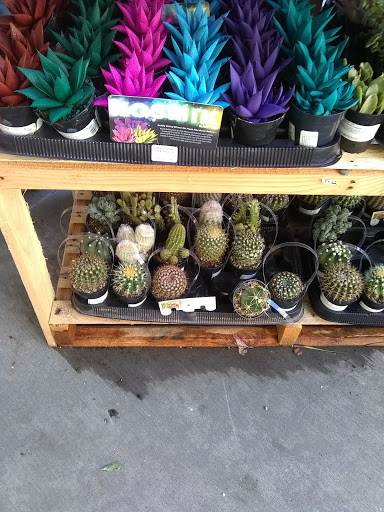 Home Improvement Store «The Home Depot», reviews and photos, 19101 Magnolia St, Huntington Beach, CA 92646, USA