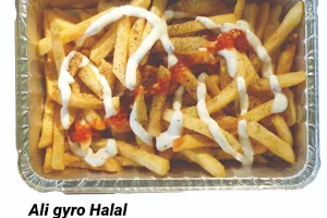 Ali gyro halal image