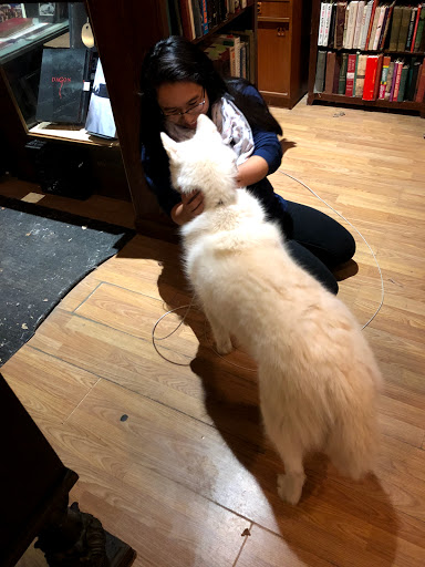 Book Store «Uncharted Books», reviews and photos, 2620 N Milwaukee Ave, Chicago, IL 60647, USA