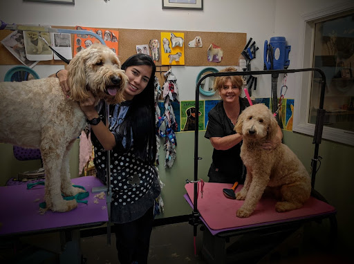 Pet Groomer «A Klassy Lassie, LLC», reviews and photos, 30 Old Jackson Rd, McDonough, GA 30252, USA