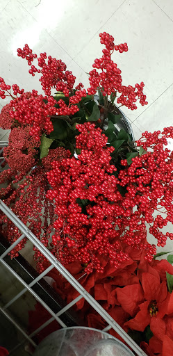 Craft Store «Michaels», reviews and photos, 3750 W Market St y, Fairlawn, OH 44333, USA