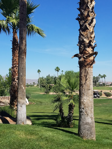 Golf Club «Tuscany Falls Golf Course», reviews and photos, 16262 Clubhouse Dr, Goodyear, AZ 85395, USA