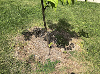 All Trimmed Up Landscaping LLC - Photo 3 - Car repair in , Frederick