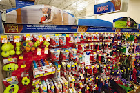 PetSmart - Photo 7 - Car repair in Austin, TX, Austin