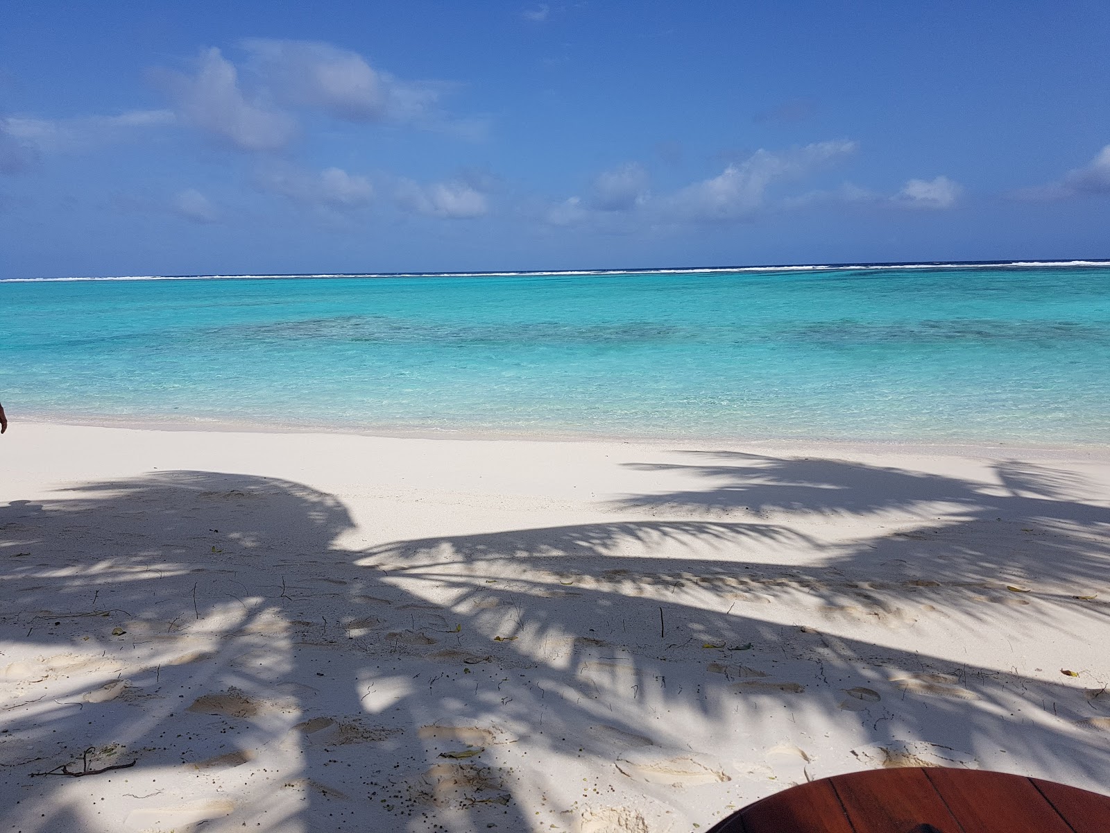Summer Resort Island photo #7