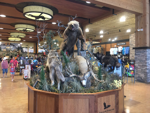 Outdoor Sports Store «Field & Stream», reviews and photos, 800 Brevard Rd #901, Asheville, NC 28806, USA