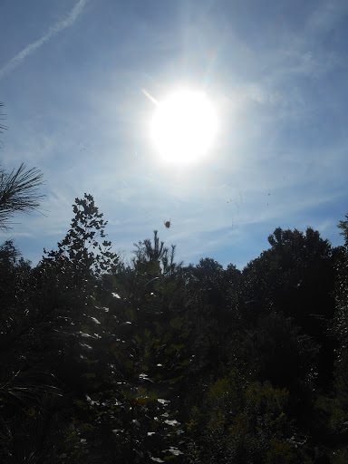 Nature Preserve «Kokiwanee Nature Preserve», reviews and photos, 5825 E 50 S, Lagro, IN 46941, USA