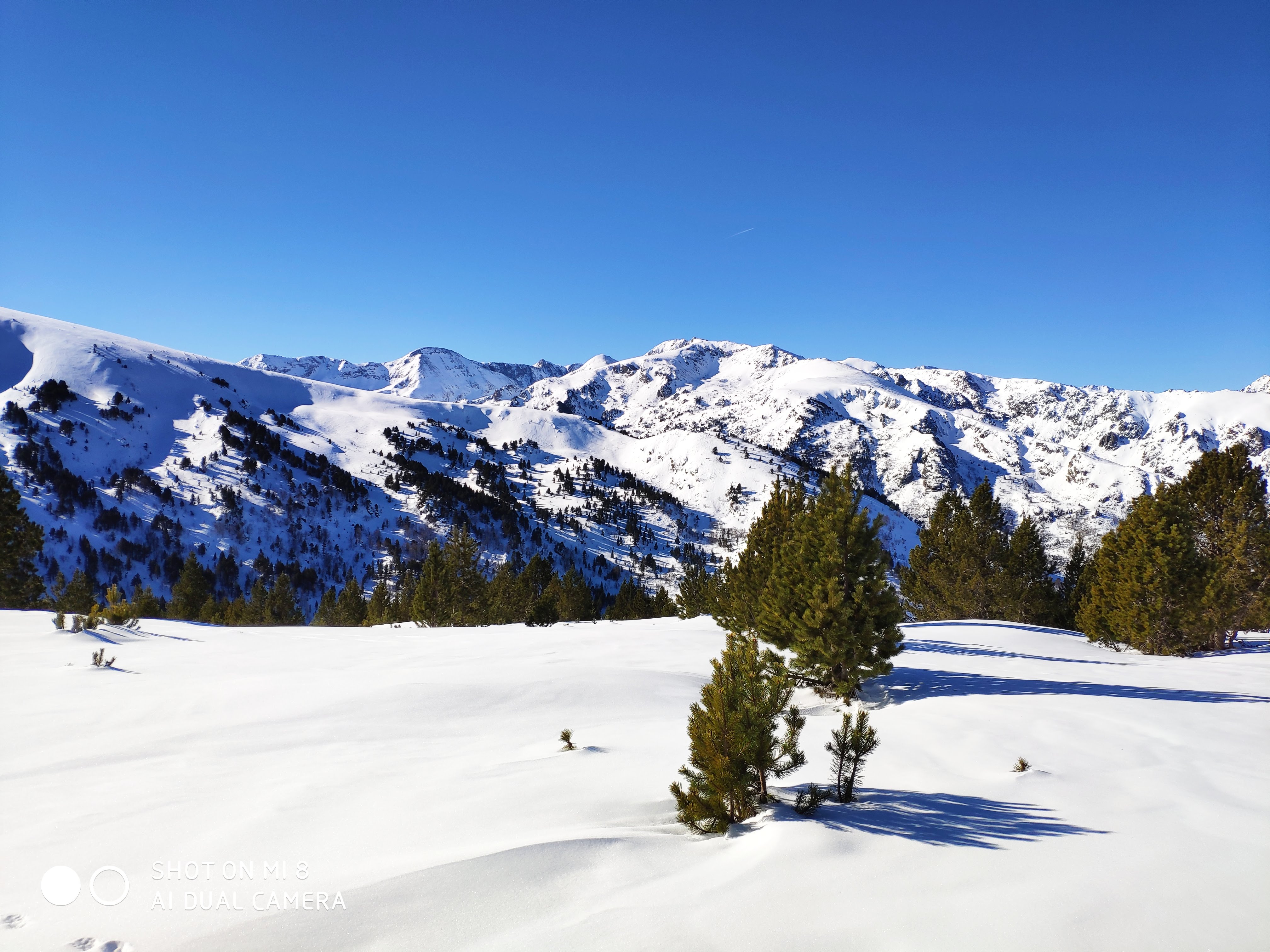 Photo n° 7 de l'avis de Emmanuel.o fait le 21/02/2019 à 18:56