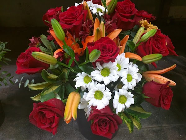 Floristería Navarro