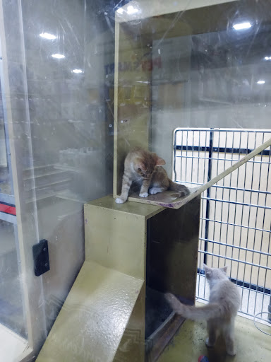 Pet Supply Store «PetSmart», reviews and photos, 5241 Frederica St, Owensboro, KY 42301, USA