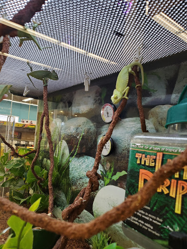 Pet Supply Store «Petco Animal Supplies», reviews and photos, 1419 Towne Square Blvd NW, Roanoke, VA 24019, USA