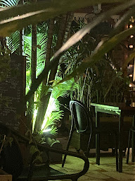Photo n°11 de Restaurant Terranga Terrasse à Saint-Paul ()