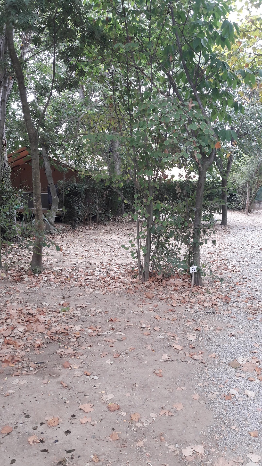 Photo n° 2 de l'avis de pierrick. fait le 30/08/2017 à 08:41