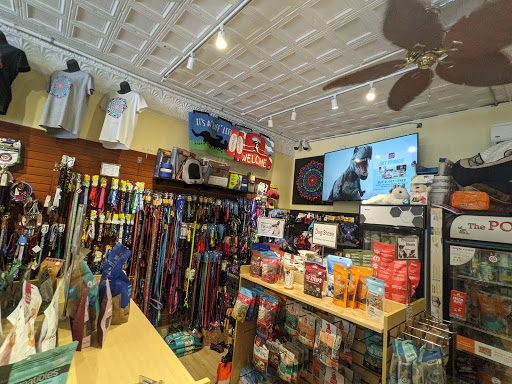 Pet Supply Store «The Dog Store», reviews and photos, 2301 Mt Vernon Ave, Alexandria, VA 22301, USA