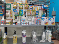 Little Shop of Feathers - Photo 9 - Car repair in Kingsport, TN, Johnson City