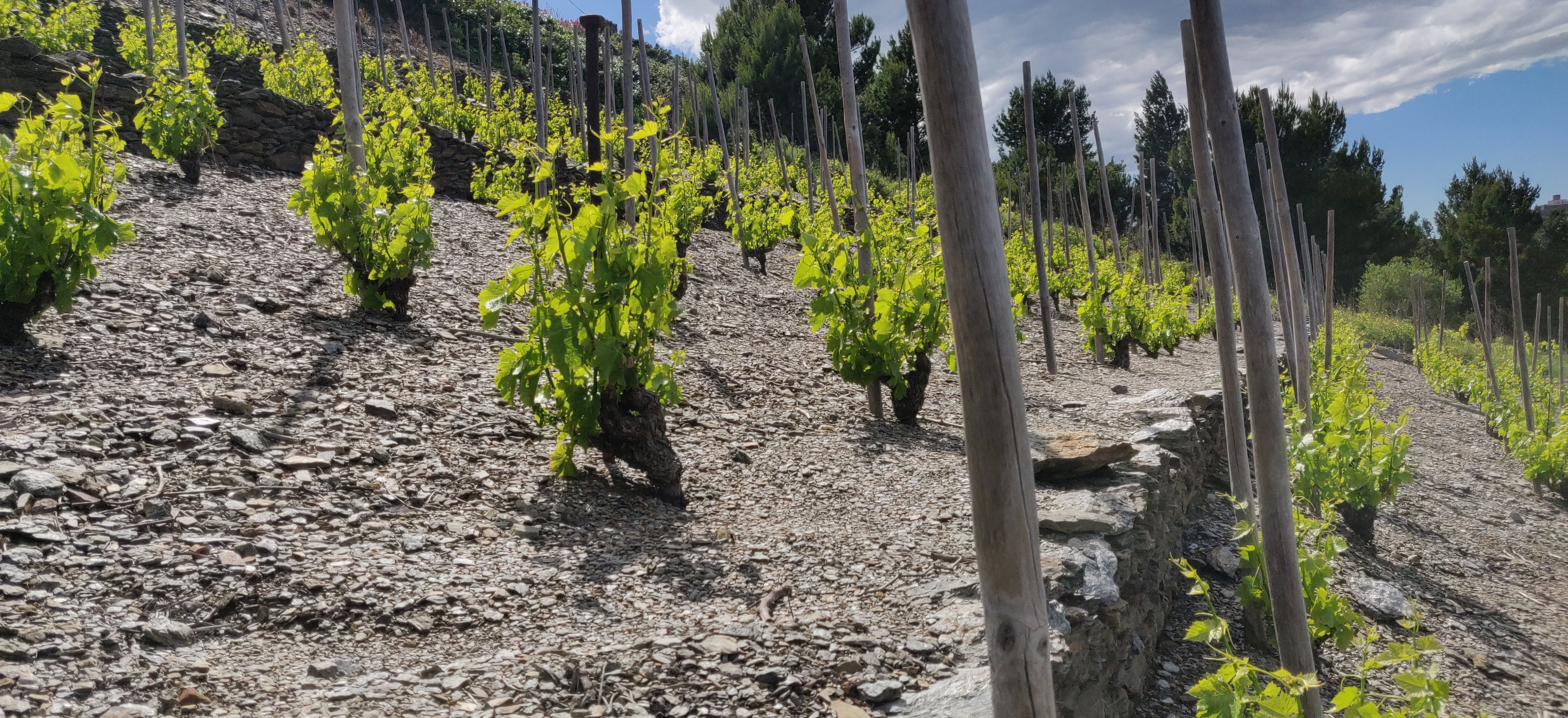 Photo n° 6 de l'avis de Patrice.s fait le 15/05/2019 à 08:57