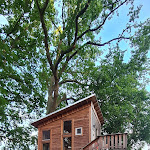 Photo n°2 de l'avis de Daniel.u fait le 31/08/2023 à 17:18 sur le  Baumhaushotel Uckermark à Templin