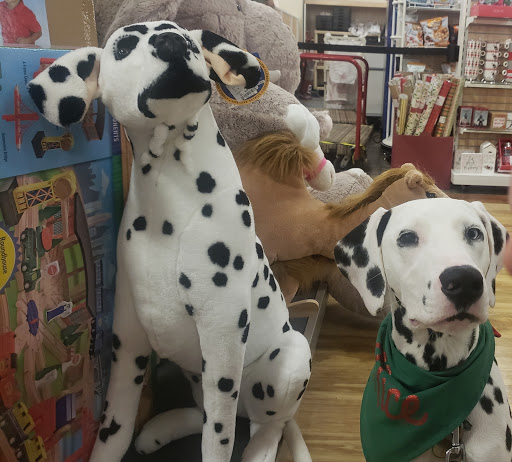 Department Store «HomeGoods», reviews and photos, 3377 U.S. 190, Mandeville, LA 70471, USA