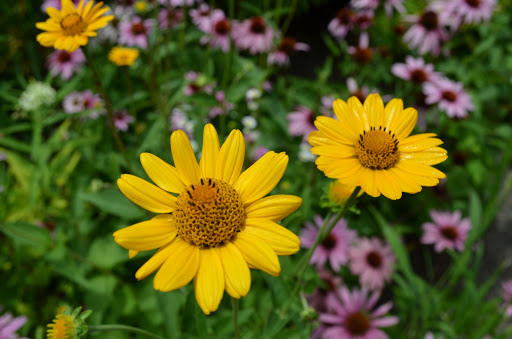 Science Museum «Connecticut Science Center», reviews and photos, 250 Columbus Blvd, Hartford, CT 06103, USA