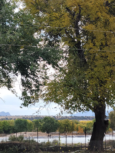 Winery «Clear Creek Vineyard & Winery, Home of the Rio Claro Wines», reviews and photos, 4053 AZ-260, Camp Verde, AZ 86322, USA